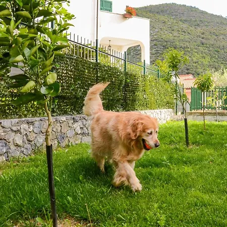 Al Poggio Bed & Breakfast *